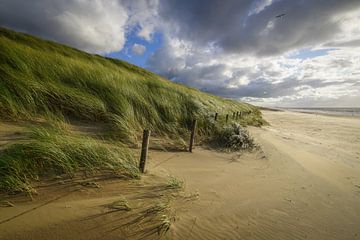 Strand, zee en zon