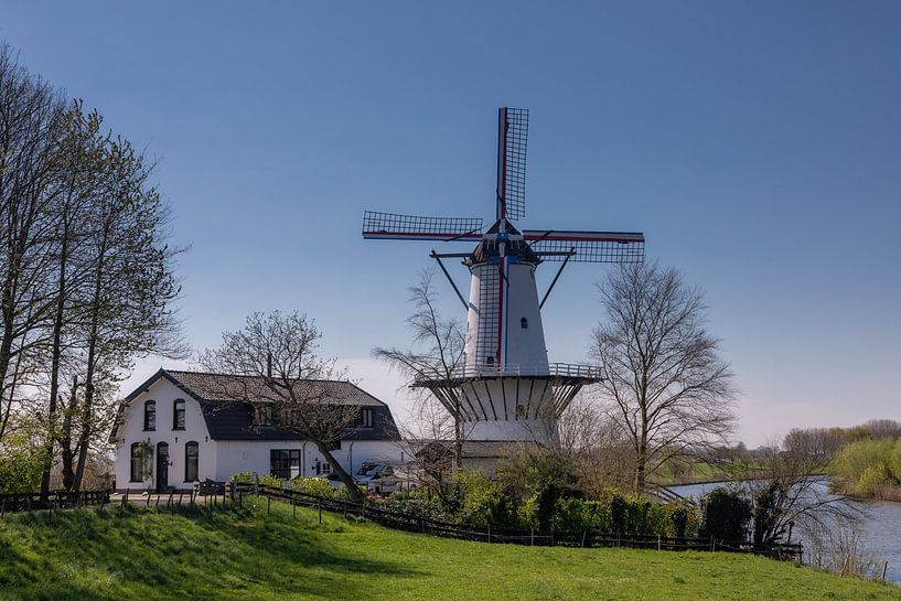 Windmill "De Vlinder" on a beautiful spring day in April by Bram van Broekhoven
