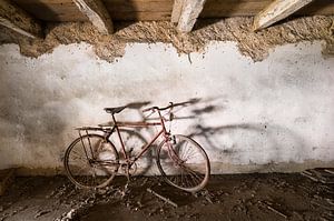 Red Fahrrad auf dem Dachboden von Inge van den Brande