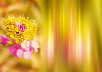 Yellow Flower by INA FineArt