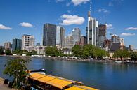 Uitzicht op de skyline van Frankfurt am Main van Udo Herrmann thumbnail