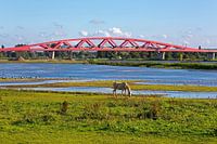 Hanzeboog railway bridge Zwolle