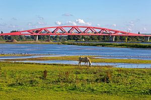 Hanzeboog spoorbrug Zwolle van Anton de Zeeuw