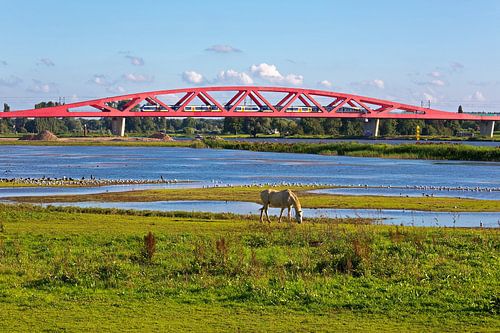 Pont ferroviaire en arc Hanze Zwolle sur Anton de Zeeuw