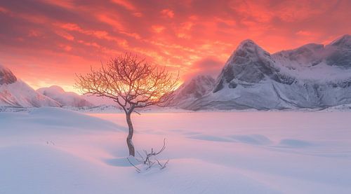 Magische sfeer tussen de bergtoppen