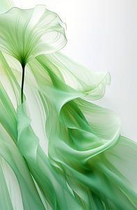 Danse des fleurs