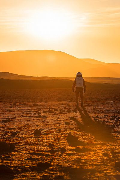 Astronaut at sunset on a Martian landscape by Poster Art Shop