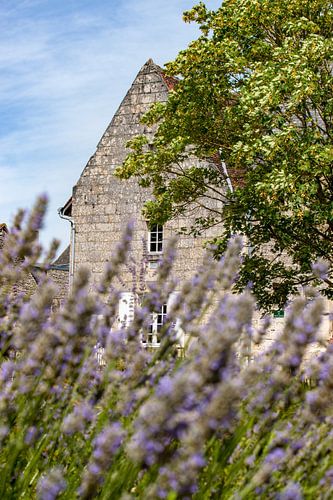 Scene in Crissay Sur Manse, village in the Loire Valley