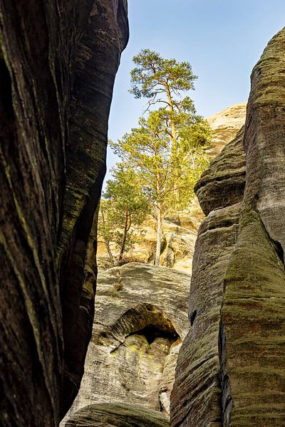 Die Weckelsdorfer Felsenstadt bei Aderbach von Roland Brack