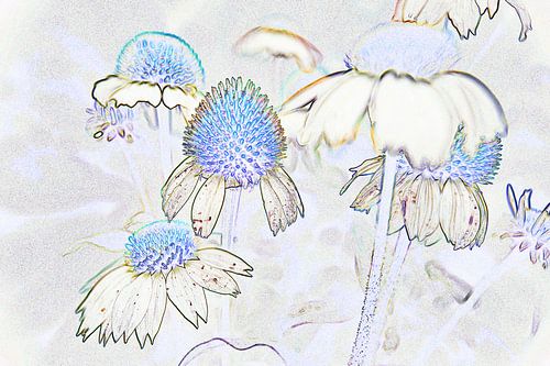Echinacea bloemen met effect van Vrije Vlinder Fotografie
