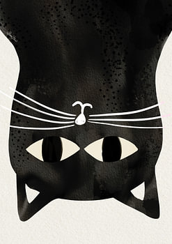 Zwarte kat ondersteboven