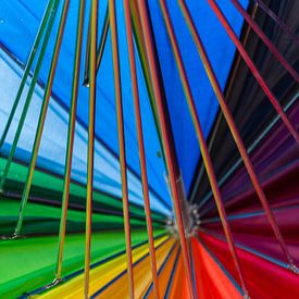 Colour Carousel sur Tienke Huisman
