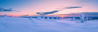 Winter wonderland van Denis Feiner thumbnail