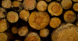 Holzbild von Armanto Brouka