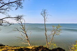Hochufer bei Lietzow, Großer Jasmunder Bodden