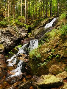 Riesloch Rieslochfälle bei Bodenmais, Bayern 13