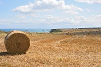 Kust van Normandië bij Longues-sur-Mer.