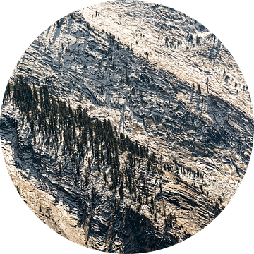 Panorama rotsen en naaldbomen bij Tioga Pass in Yosemite National Park California USA van Dieter Walther