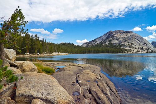 YOSEMITE VALLEY Tenaya Lake by Melanie Viola