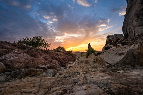 Harz summer feelings