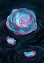 Rose bicolore par Petra van Berkum Aperçu