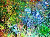 Urban Painting 111
