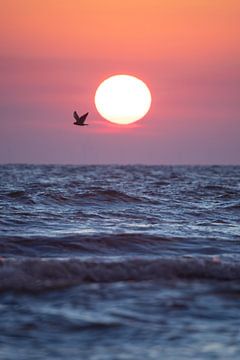 Sunset Noordwijk by Yanuschka | Fotografie Noordwijk