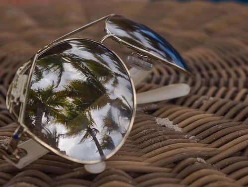 Sunglasses with palm tree reflection
