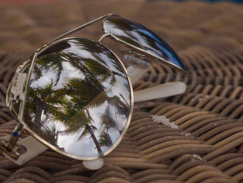 Lunettes de soleil avec reflet de palmier par Moniek van Rijbroek