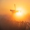 Noordermolen in het zonnetje van Sander van der Werf