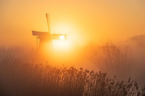 Noordermolen in het zonnetje van Sander van der Werf