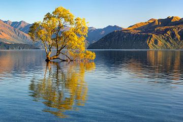 Lake Wanaka bij zonsopgang, Nieuw-Zeeland van Markus Lange