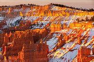 Lever de soleil hivernal à Bryce Canyon N.P., Utah par Henk Meijer Photography Aperçu