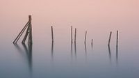 Paaltjes in het water in de Hopfensee, Duitsland. van Henk Meijer Photography thumbnail