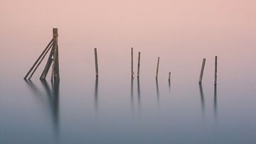 Poles in the water in the Hopfensee, Germany.