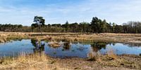 Groene Peelvallei 1 (Helmond)