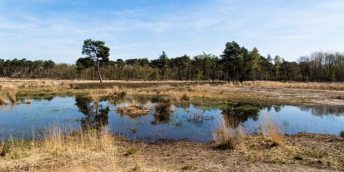 Groene Peelvallei 1 (Helmond)
