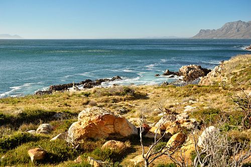 Sun-drenched coast South Africa