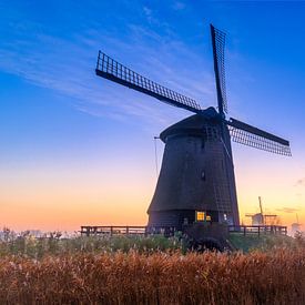 Kleurrijke zonsopkomst bij de Schermer molens van Photo Henk van Dijk