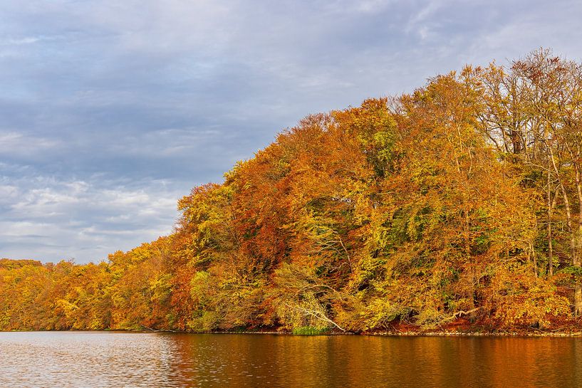 View over the lake Schmaler Luzin by Rico Ködder