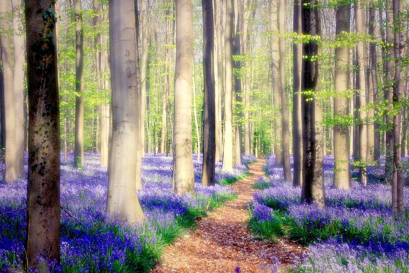in this place... the world seems to be in peace...  by Els Fonteine