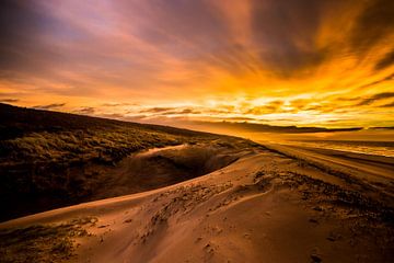 Les lignes des dunes sur Ferdinand Mul