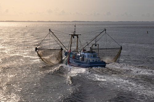 Viskotter op de Waddenzee