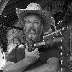 Nico Landuyt Profilfoto