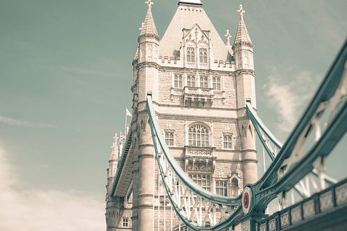 Torenbruggemint Afmeting24x36