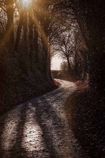 Eyserbos by Rob Boon