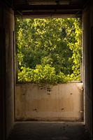Blick aus einer Ruine.