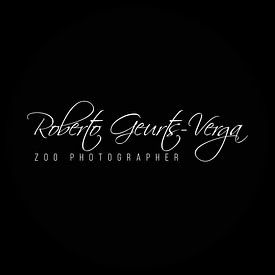 Roberto Geurts-Verga Profilfoto