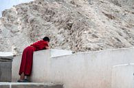 Mönch sucht Vergnügung vom Dach des Klosters von Affect Fotografie Miniaturansicht