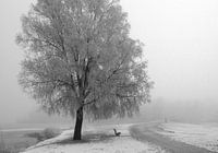 Winter landschap